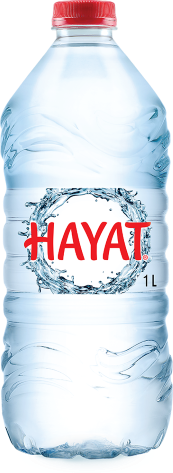 Hayat 1lt