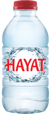 Hayat 330ml