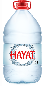 Hayat 5 lt