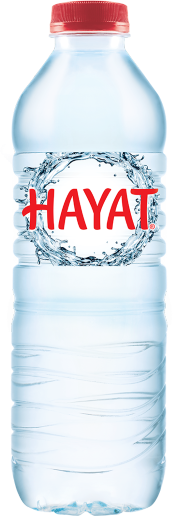 Hayat 500ml