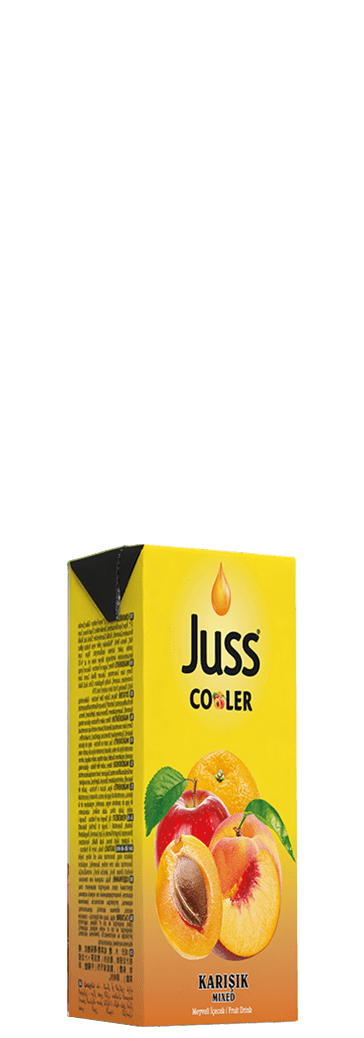 Juss cooler 200ml karışık