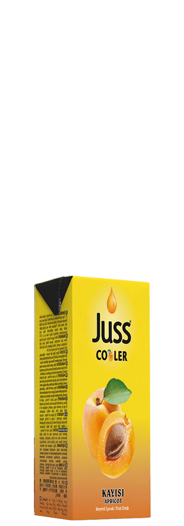 Juss cooler 200ml kayısı